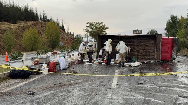 Bal ve arı kovanı yüklü kamyonet devrildi; 3 yaralı