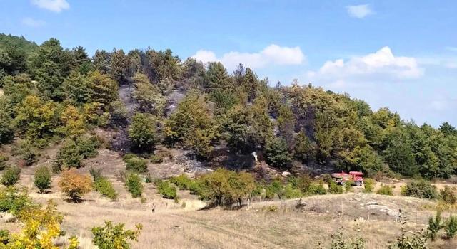 Kütahya’da ormana sıçrayan yangın söndürüldü