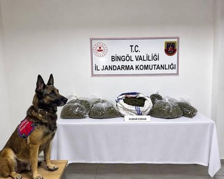 Bingöl’de 31 şüpheli hakkında işlem yapıldı