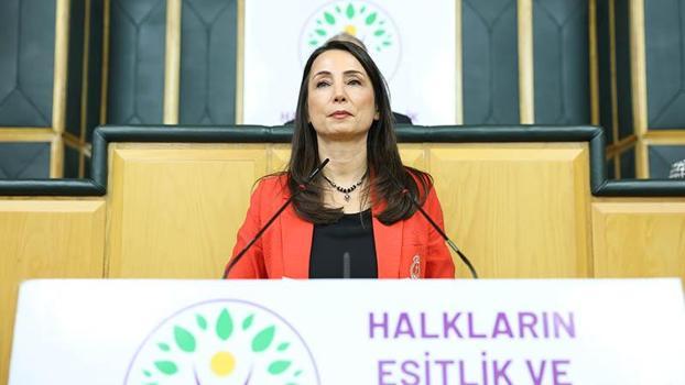 DEM Parti’li Hatimoğulları: Meclis’te komisyon kurulmalı