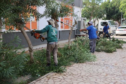 Toroslar’da ağaç budama ve bakım çalışmaları sürüyor