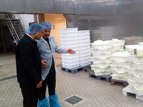 Edirne’de süt ürünleri işletmelerine ‘HACCP’ denetimi