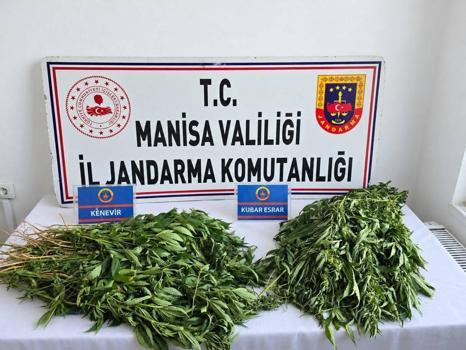 Manisa'daki uyuşturucu operasyonlarında 3 tutuklama