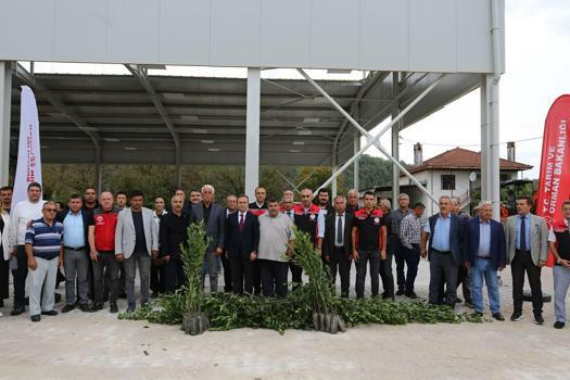 Muğla’da defne üretiminden 35 milyon lira gelir