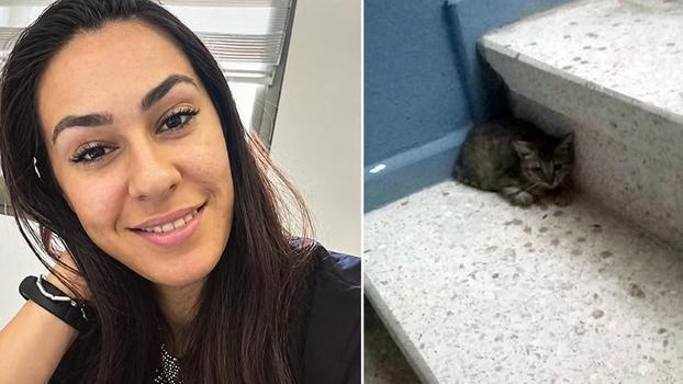 Evinde rahatsızlanan Gamze kurtarılamadı, 20 kedisi korumaya alındı