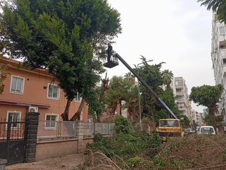 Akdeniz’in park ve yeşil alanları yenileniyor