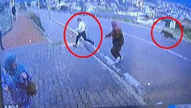 Köpekten kaçarken yüksekten atlayan çocuğun bacağı kırıldı