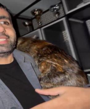 Arnavutköy’de su basan dairedeki kedileri muhtar kurtardı
