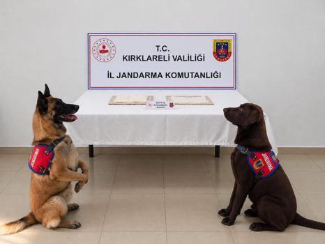 Cezaevine uyuşturucuyla girmeye çalışan hükümlü tutuklandı
