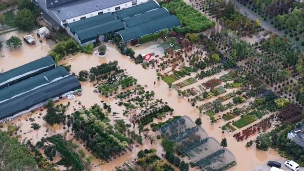 Beykoz'da Riva Deresi taştı; seralar su altında kaldı
