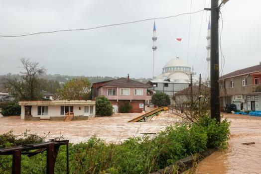 Sakarya'da sağanak; dereler taştı, evleri su bastı (9)