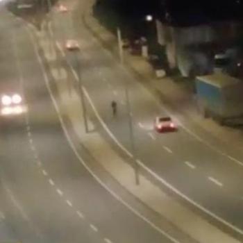 Tehlikeye aldırış etmeden yolun ortasında yürüdü
