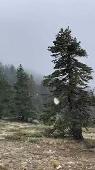 Uludağ'a kar yağdı