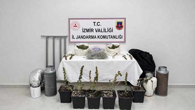 İzmir'de 5 kilo skunk ele geçirildi