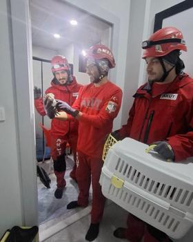 Havalandırma boşluğunda mahsur kalan baykuşu, AKUT kurtardı