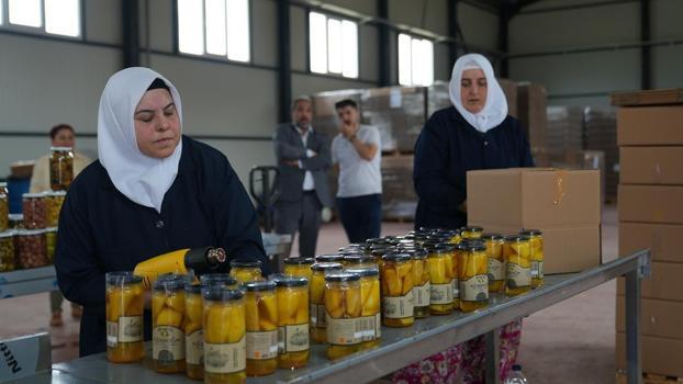 Gürsu’da kadınlar turşu üretimine başladı