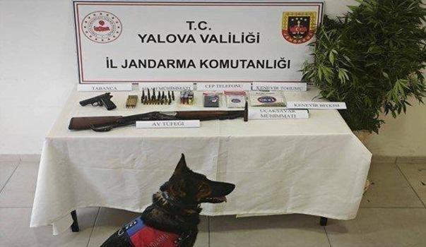 Yalova’da kenevir operasyonunda uçaksavar mühimmatı ele geçirildi