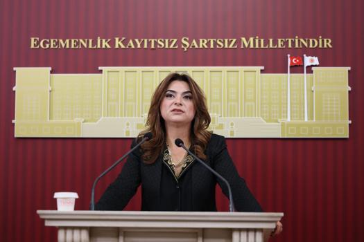 DEM Parti’li Koçyiğit: Bu ülkedeki her 100 liranın 17 lirası faize gidiyor