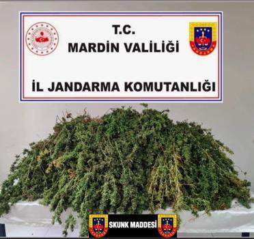 Mardin’de uyuşturucu operasyonlarında 9 şüpheli tutuklandı