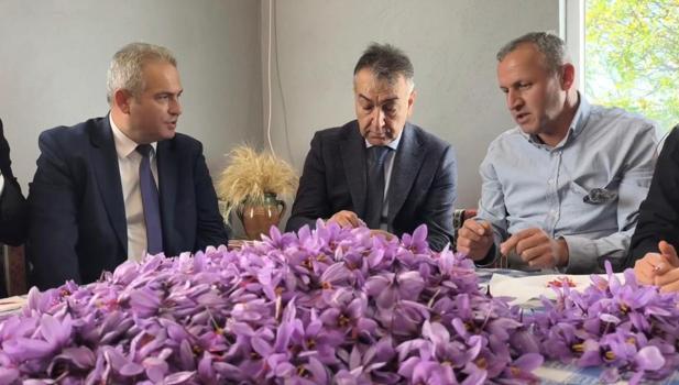 Safranbolu’da safran hasadı sürüyor; kilosu 800 bin TL