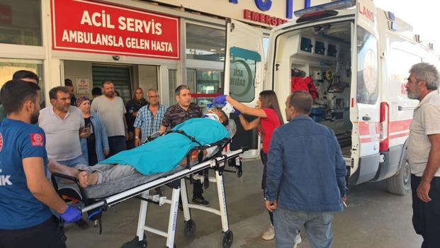 Kestiği ağacın altında kalan emekli uzman çavuş ağır yaralandı