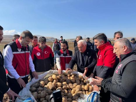 Niğde'de yerli ve milli 3 patates çeşidinin hasadı yapıldı