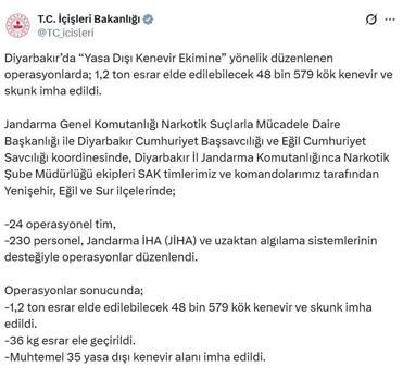 Diyarbakır'da 48 bin kök kenevir ve skunk imha edildi