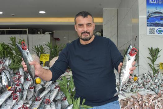 ‘Palamut bolluğu en az 1 ay daha sürecek’