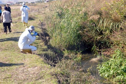 Kahramanmaraş’ta çürümüş erkek cesedi bulundu