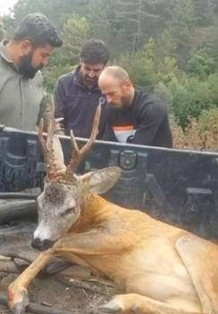 Yol kenarındaki bulduğu yaralı ceylanı ekiplere teslim etti