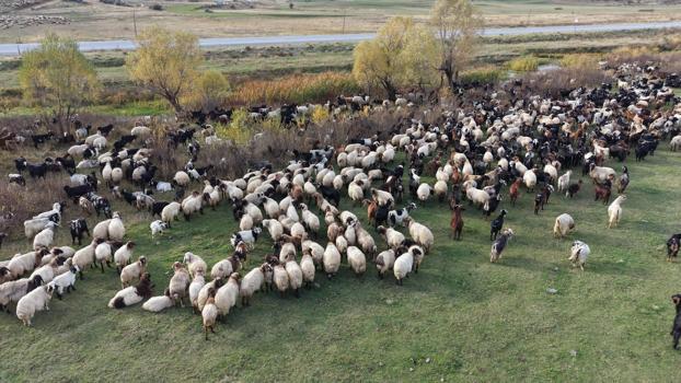 Van ve Bitlis’te göçerlerin dönüş yolculuğu başladı