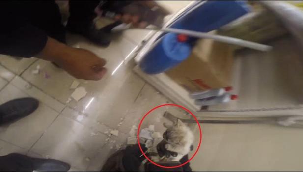 Diyarbakır’da demir profilin içine sıkışan kedi kurtarıldı