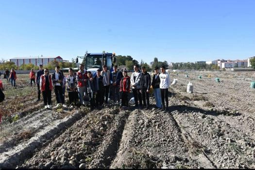 Niğde’de gençler patates hasadına katıldı