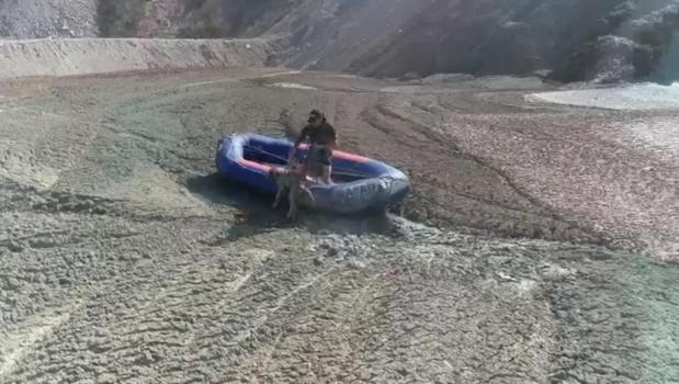 İzmir'de çamur depolama alanına düşen köpeğin kurtarılma anı kamerada
