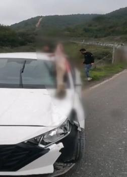 Arnavutköy’de otomobilin çarptığı at öldü: 3 kişi yaralandı