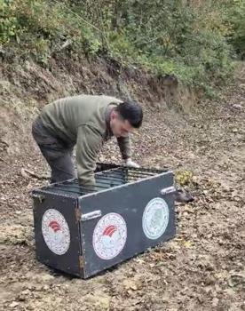 Otomobilin çarptığı karaca, tedavisi sonrası doğaya bırakıldı