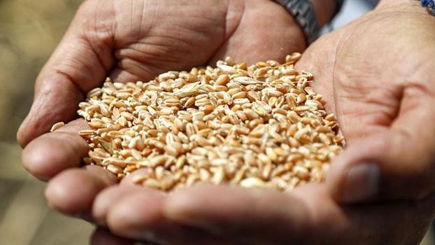 673 milyon insan yetersiz besleniyor, 1 milyardan fazlası obeziteyle yaşıyor
