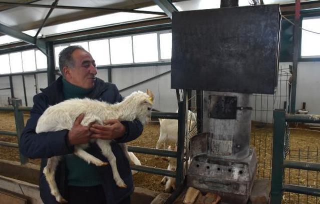 Çiftliğindeki keçileri sobayla ısıtıyor