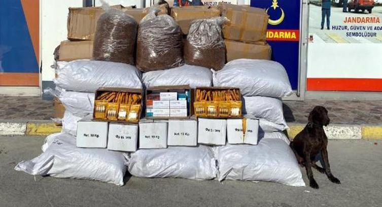 Bolu'da kaçak tütün operasyonu; 7 gözaltı