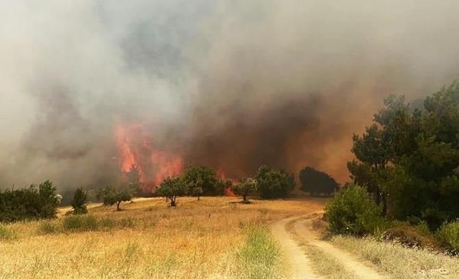 Manisa'da orman yangını çıktı/ Ek fotoğraflar