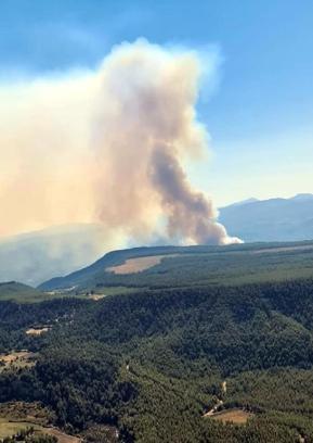 Denizli'de orman yangını (1)