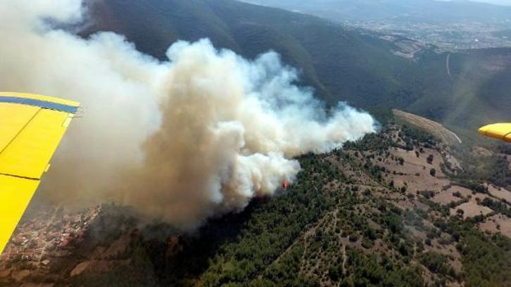 Balıkesir'de orman yangını (1)