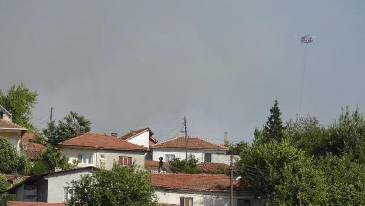 Balıkesir'de orman yangını/ Ek fotoğraflar
