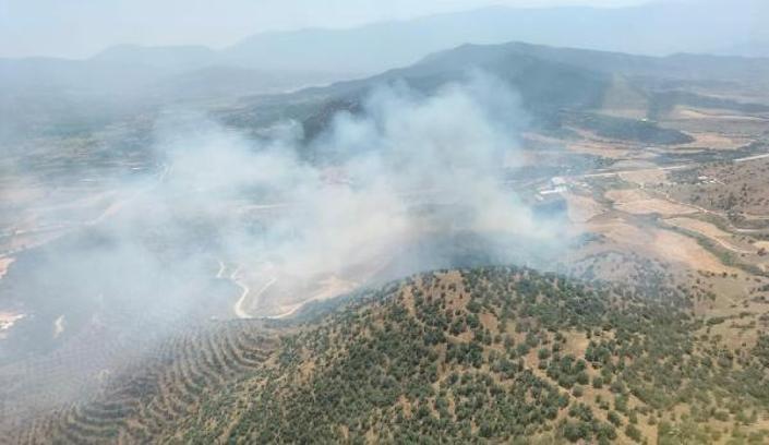 İzmir'de tarlada çıkan yangın, ormana sıçradı
