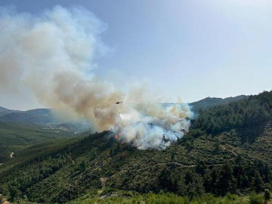 Balıkesir'de orman yangını (2)