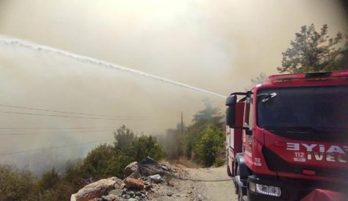 Osmaniye'de orman yangını (2)