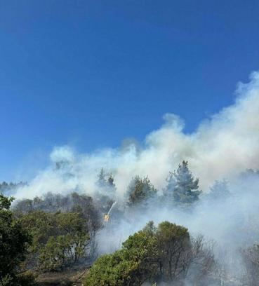 Balıkesir'deki yangında 5 hektar alan zarar gördü