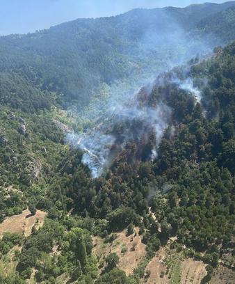 Balıkesir'de orman yangını (2)