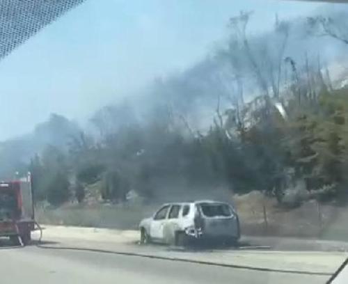 İzmir Güzelbahçe'de orman yangını (2)