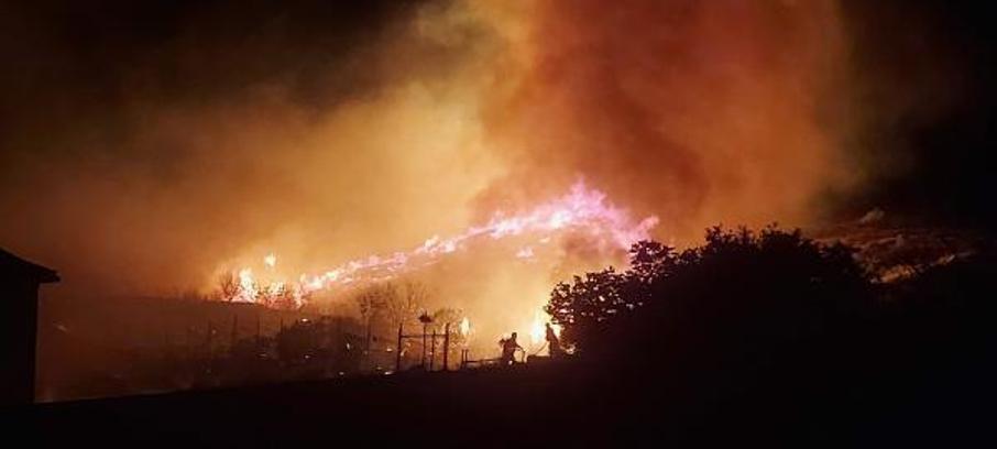 Marmara Adası'nda maki yangını (3)